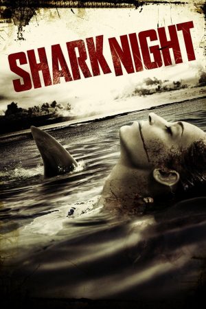 Đầm Cá Mập – Shark Night 3D (2011)